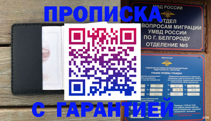 временная регистрация для всех в Николаевске